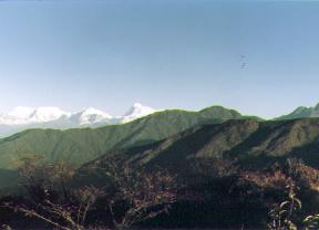 The Hills